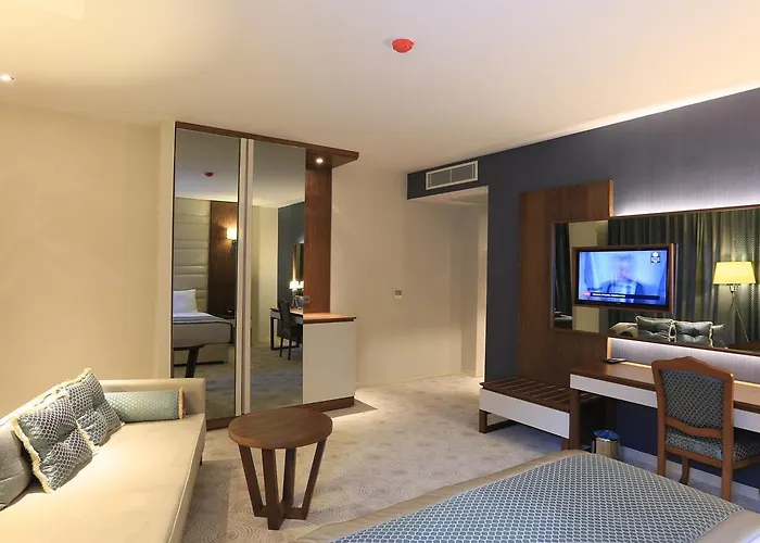 Hassuites *